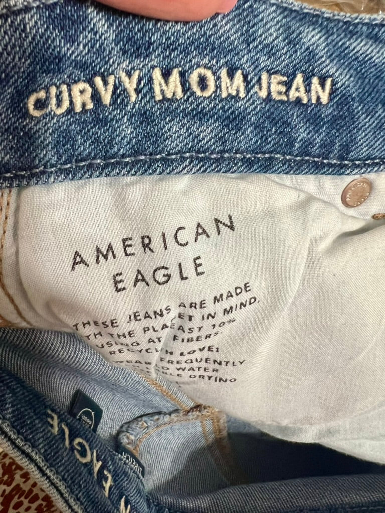 Brooke's Closet: American Eagle Curvy Mom Jean